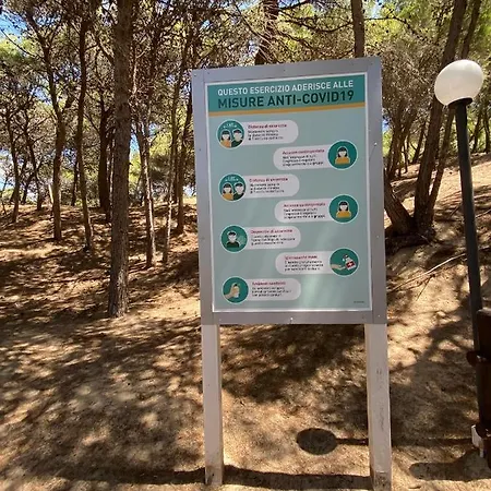 Bilocale Sul Mare