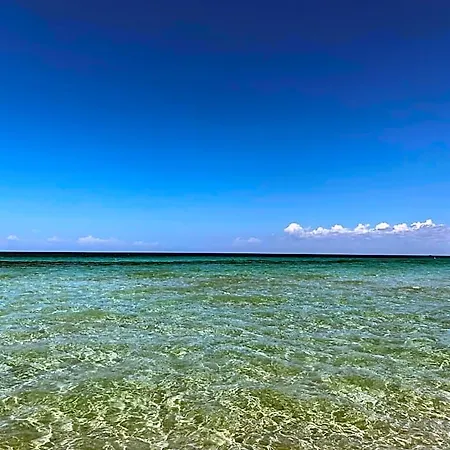 Апартаменты Bilocale Sul Mare